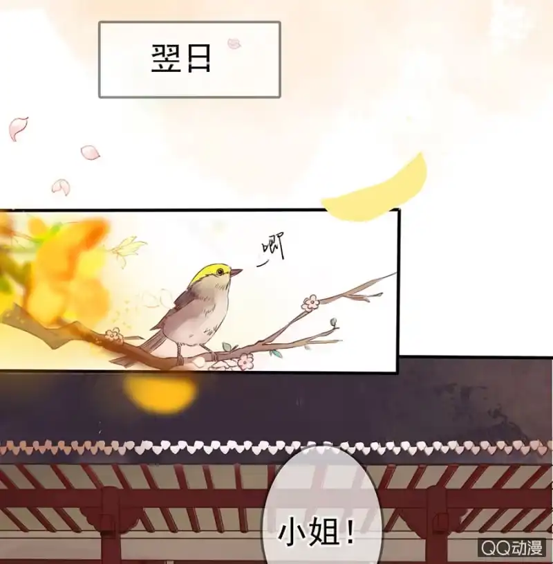 《王的宠妃》第10话 第14页