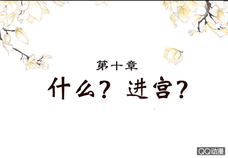 《王的宠妃》第10话 第2页