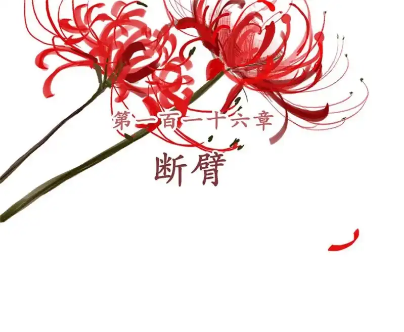 《王的宠妃》第116话 断臂 第2页