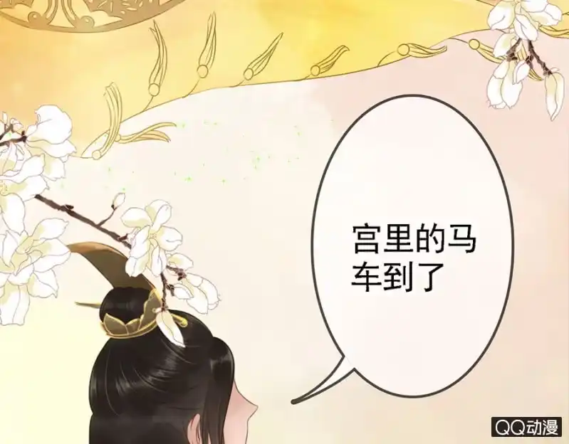 《王的宠妃》第11话 第33页