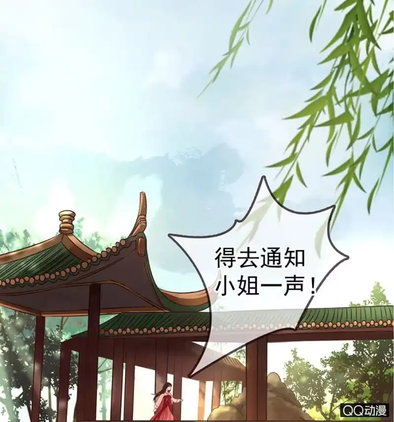 《王的宠妃》第11话 第14页