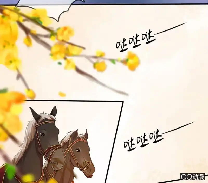 《王的宠妃》第11话 第11页