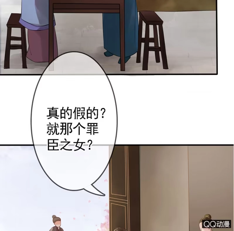 《王的宠妃》第11话 第46页