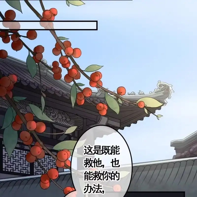 《王的宠妃》第117话 他成废人了！ 第23页