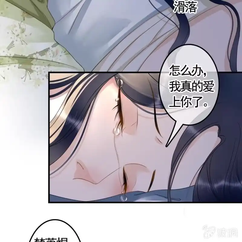 《王的宠妃》第118话 我真的爱上你了 第29页