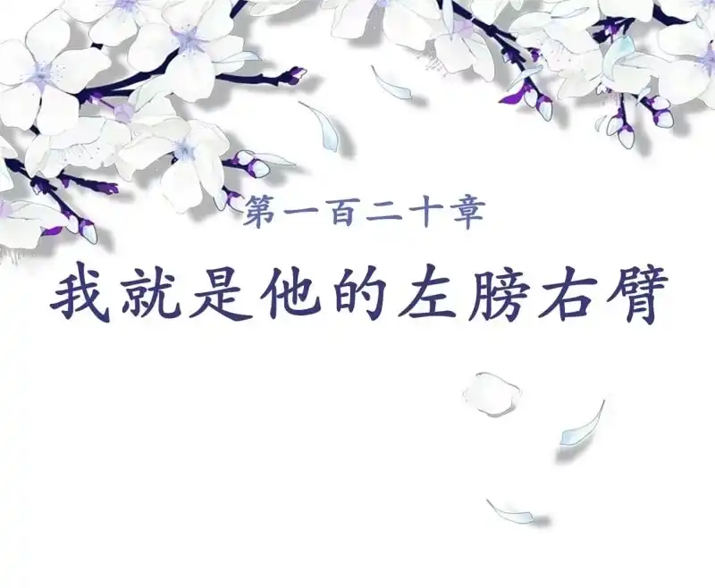 《王的宠妃》第120话 我就是他的左膀右臂 第2页