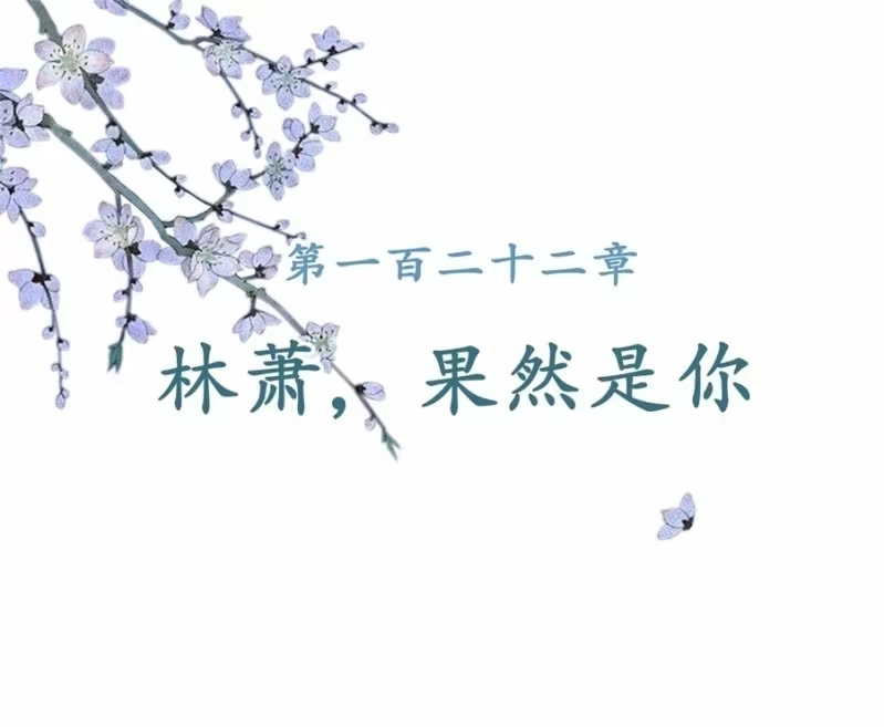 《王的宠妃》第122话 林萧果然是你 第2页