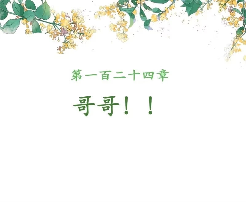 《王的宠妃》第124话 哥哥 第2页