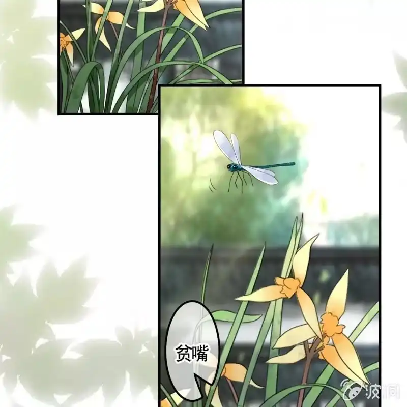 《王的宠妃》第127话 做我的小白脸如何？ 第29页