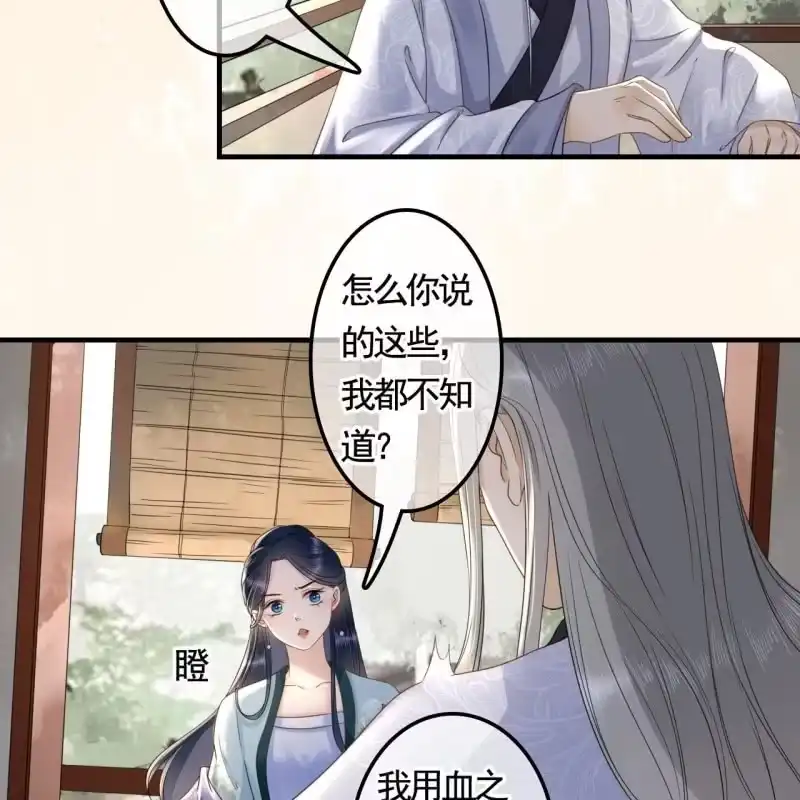 《王的宠妃》第129话 城外动手 第35页
