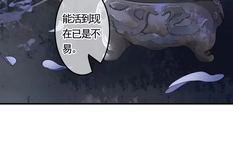《王的宠妃》第129话 城外动手 第32页