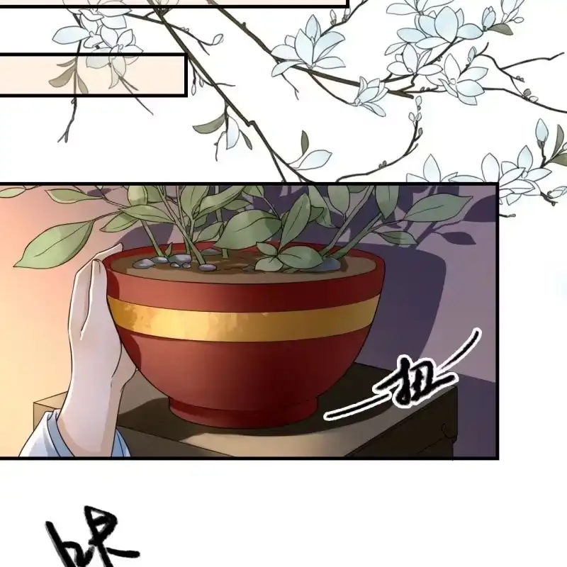 《王的宠妃》第132话 你叫林萧，是我哥！ 第16页
