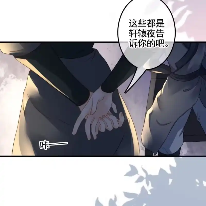 《王的宠妃》第132话 你叫林萧，是我哥！ 第38页