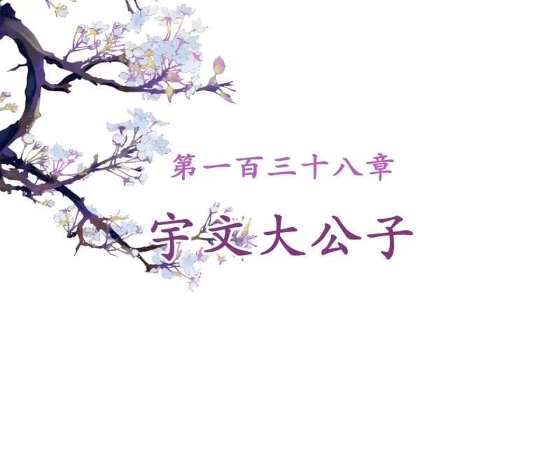 《王的宠妃》第138话 宇文大公子 第2页