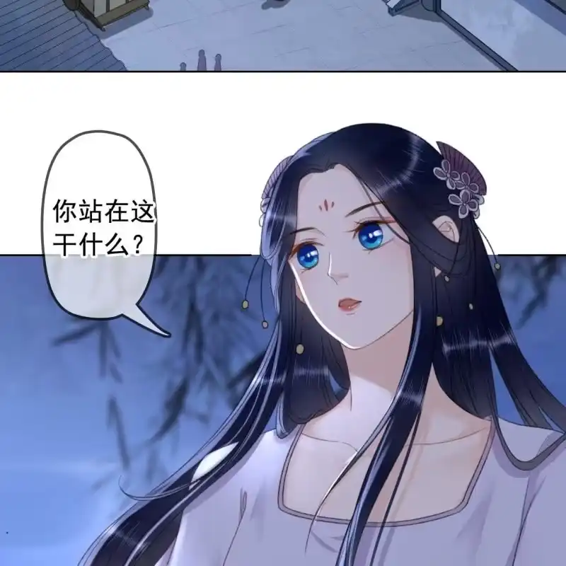 《王的宠妃》第144话 林一，代号一 第28页