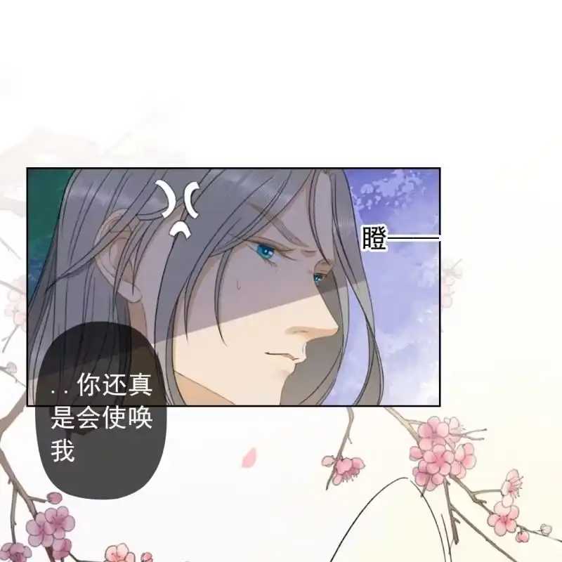 《王的宠妃》第144话 林一，代号一 第15页