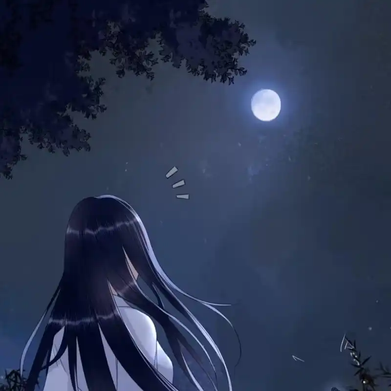 《王的宠妃》第146话 暗夜追踪 第14页