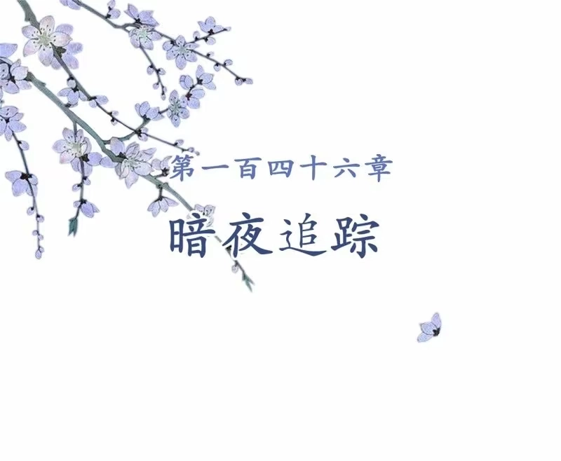 《王的宠妃》第146话 暗夜追踪 第2页