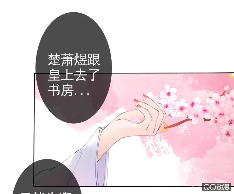 《王的宠妃》第14话 第12页