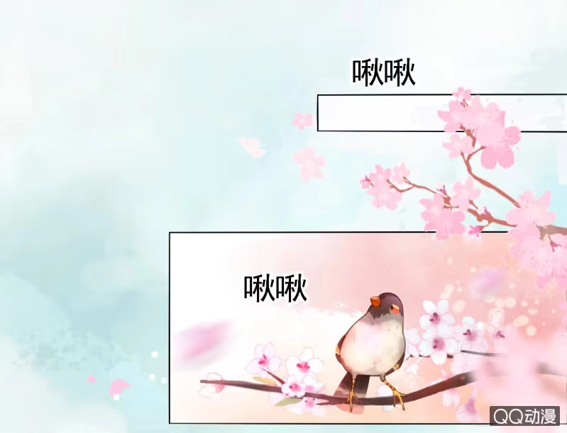 《王的宠妃》第14话 第3页