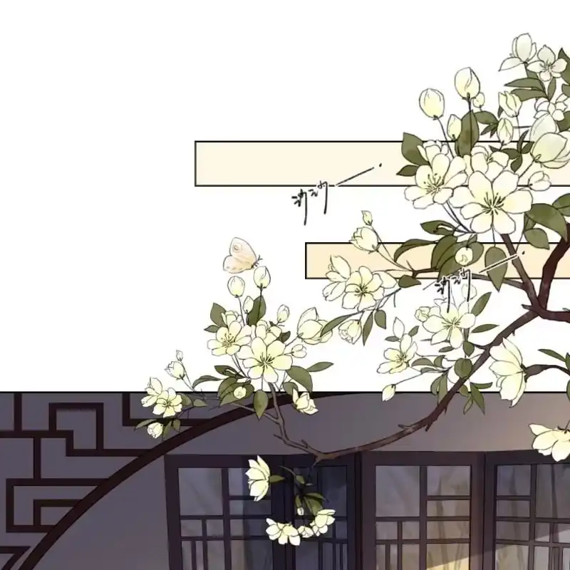 《王的宠妃》第148话 自己的夫人不能扔 第32页