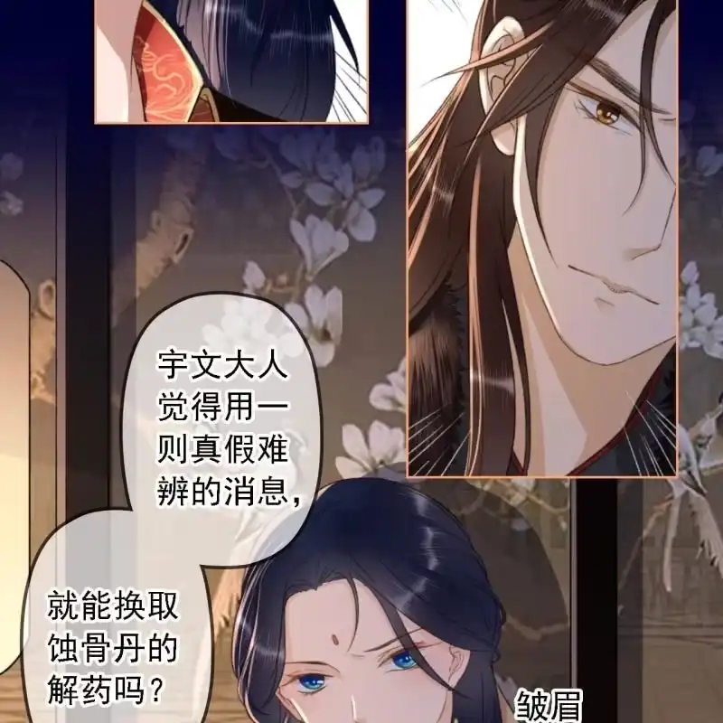 《王的宠妃》第151话 凝生 第38页