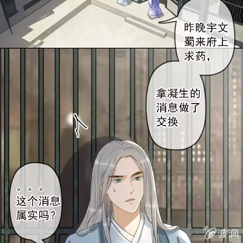 《王的宠妃》第153话 我能把她的手接上 第33页