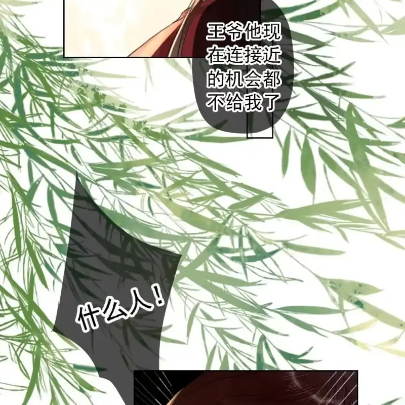 《王的宠妃》第157话 楚萧煜的暗器 第39页