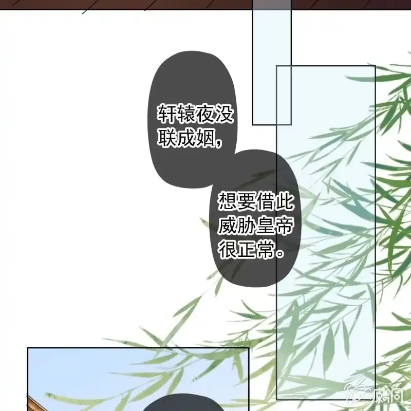 《王的宠妃》第157话 楚萧煜的暗器 第29页
