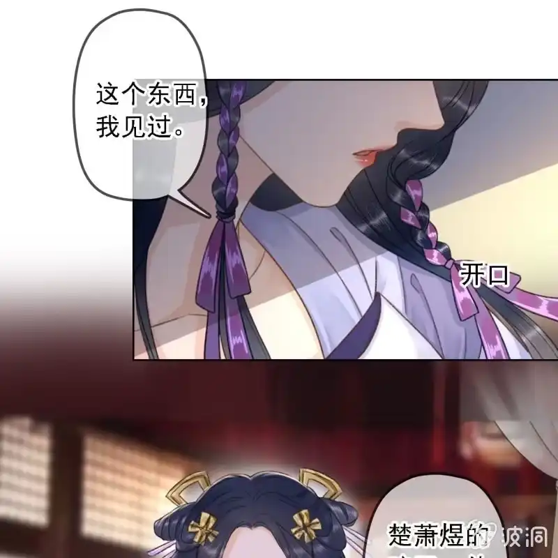 《王的宠妃》第157话 楚萧煜的暗器 第21页