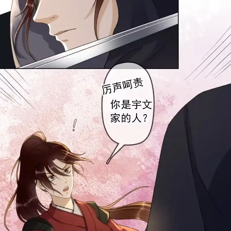 《王的宠妃》第158话 做个交易 第19页