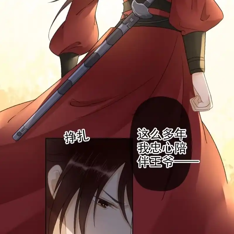 《王的宠妃》第159话 嫁祸王爷 第15页