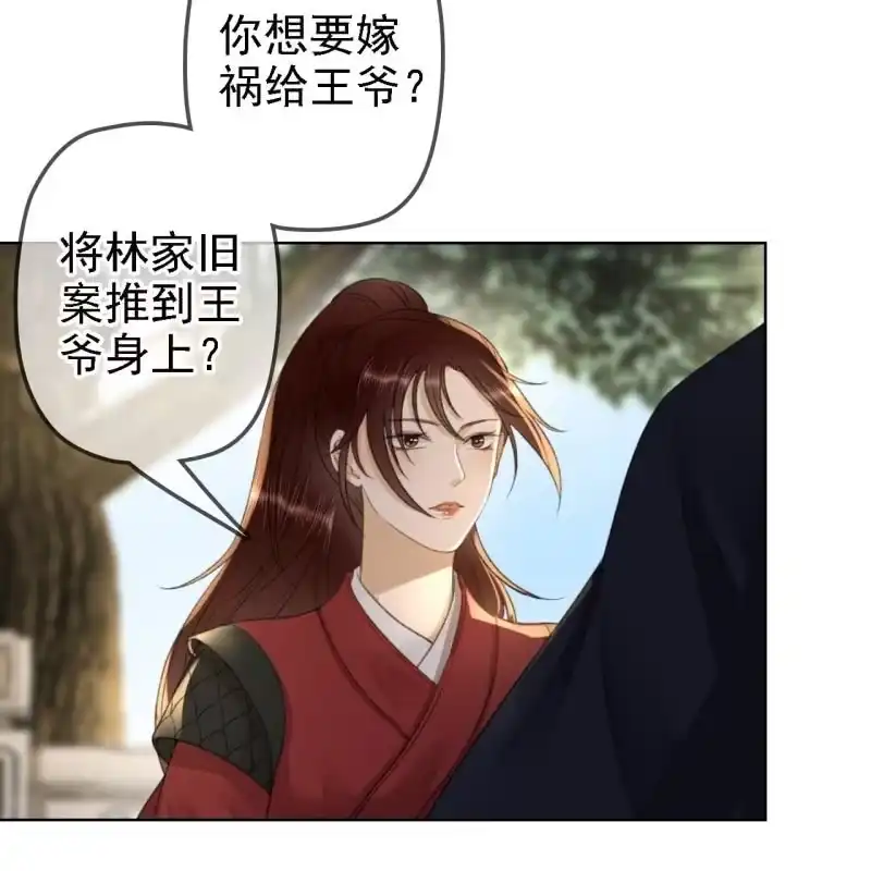 《王的宠妃》第159话 嫁祸王爷 第11页
