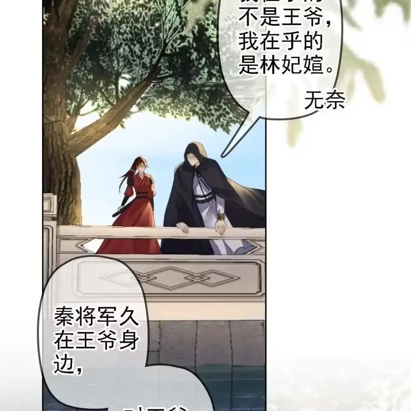 《王的宠妃》第159话 嫁祸王爷 第4页