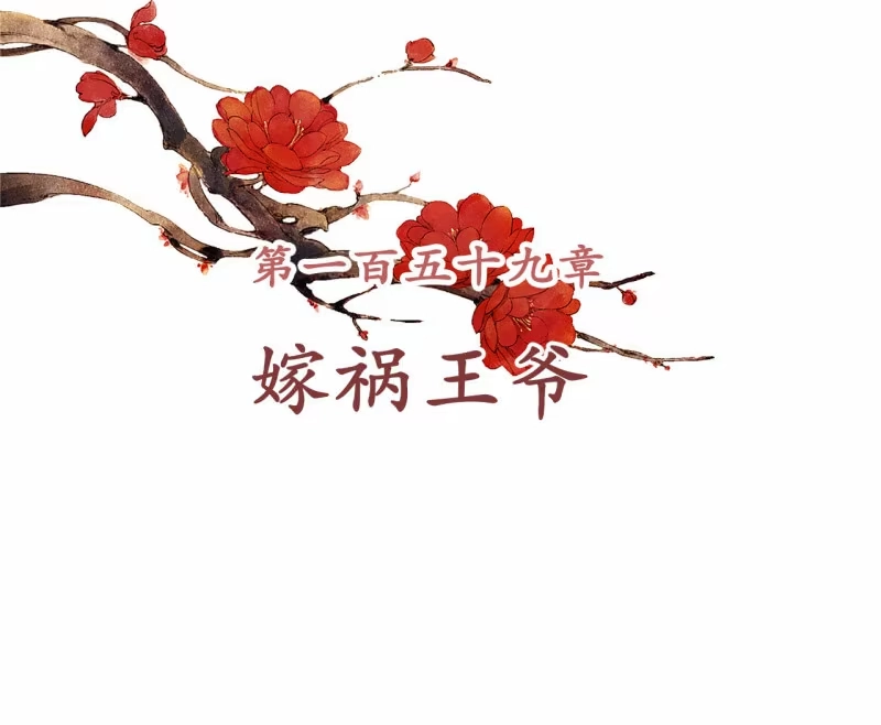 《王的宠妃》第159话 嫁祸王爷 第2页