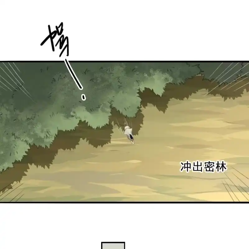 《王的宠妃》第164话 埋伏 第20页