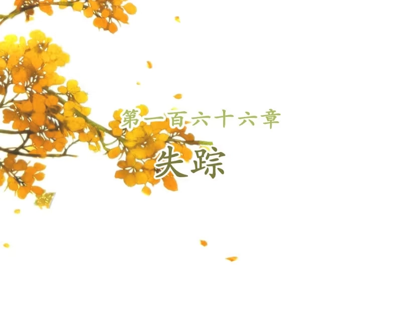 《王的宠妃》第166话 失踪 第2页