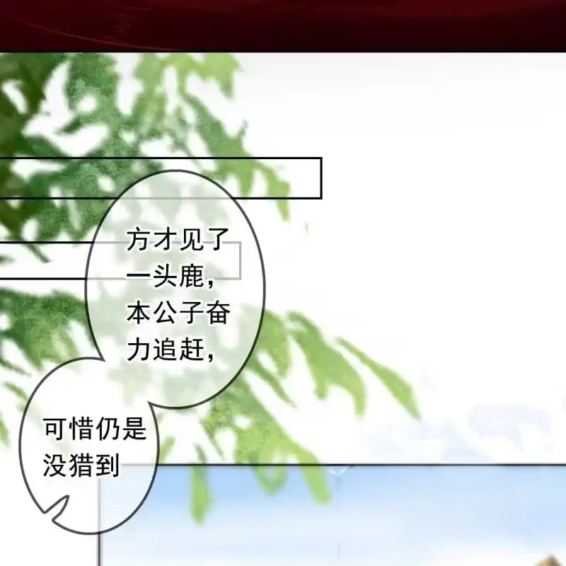 《王的宠妃》第166话 失踪 第16页