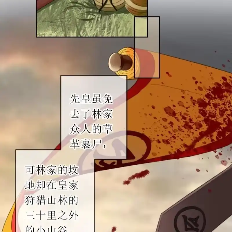 《王的宠妃》第167话 祭奠 第34页