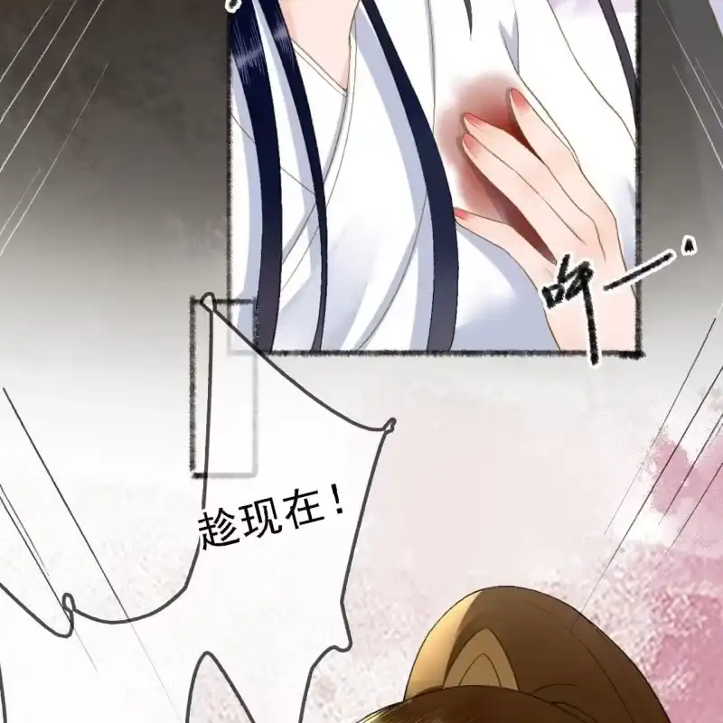 《王的宠妃》第168话 受伤 第35页