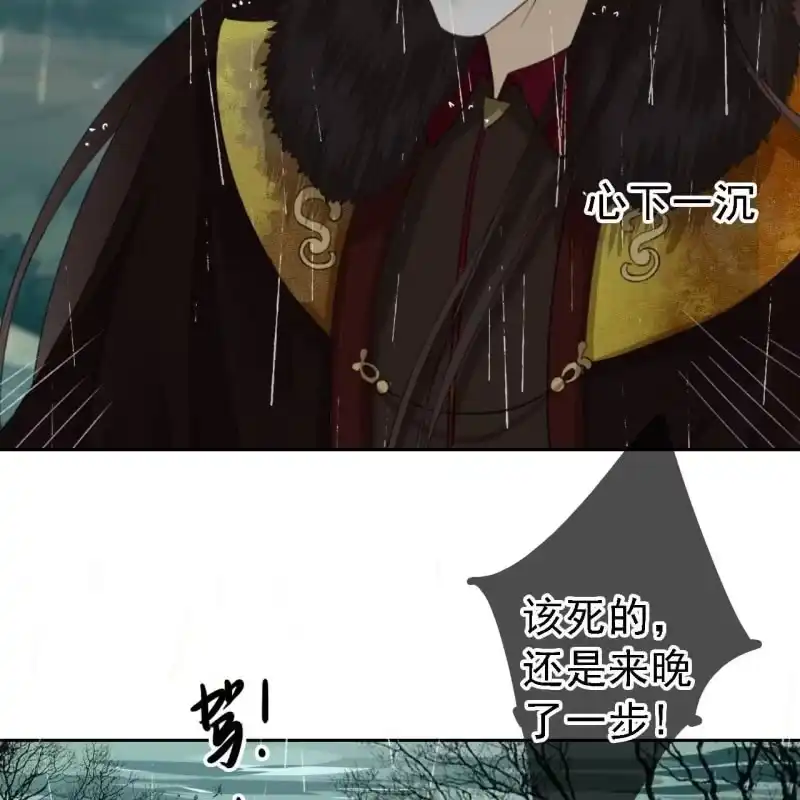 《王的宠妃》第170话 英雄救美 第34页