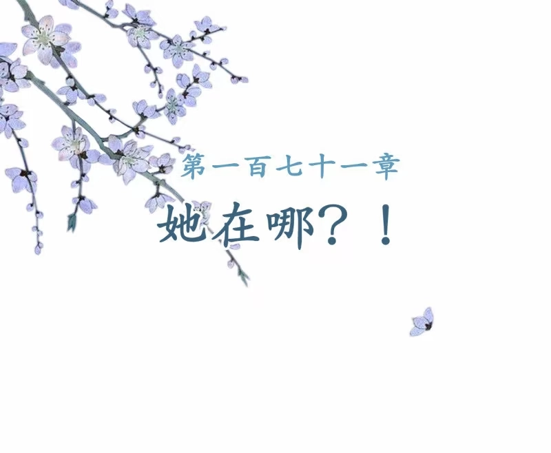 《王的宠妃》第171话 她在哪？！ 第2页
