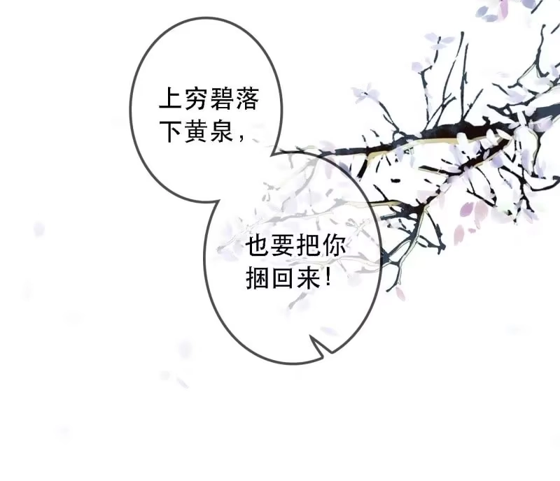 《王的宠妃》第172话 苏沫熙下线！ 第34页