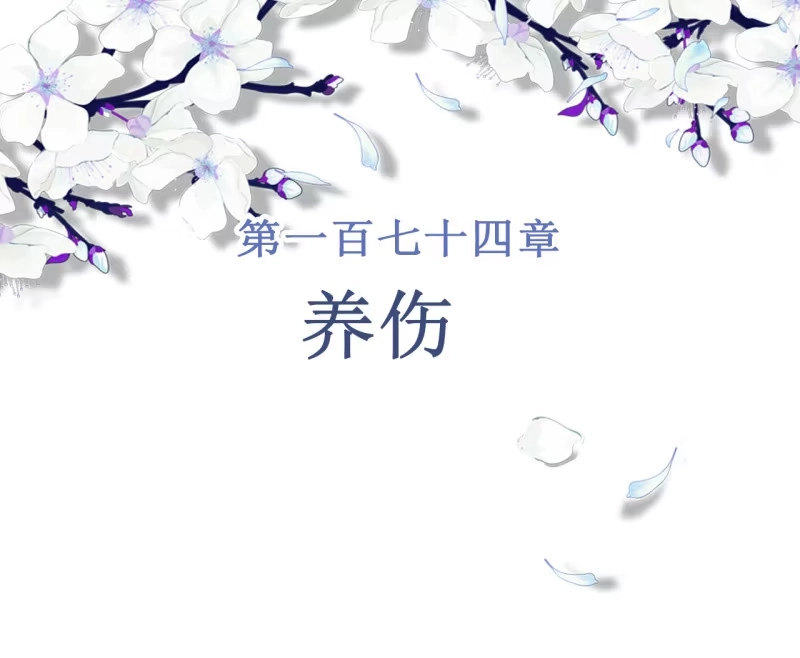 《王的宠妃》第174话 养伤 第2页