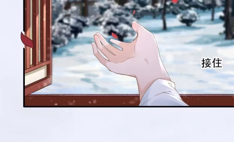 《王的宠妃》第174话 养伤 第26页