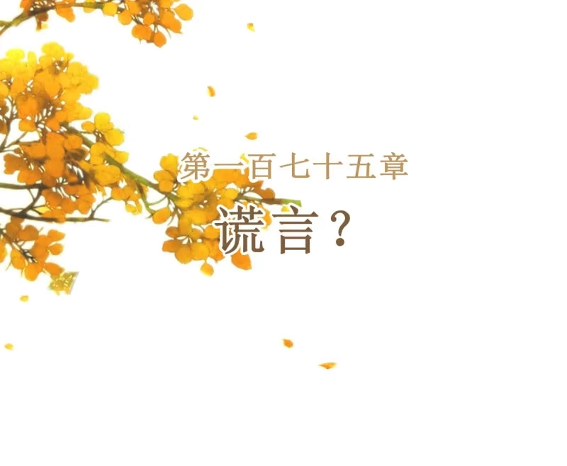 《王的宠妃》第175话 谎言？ 第2页