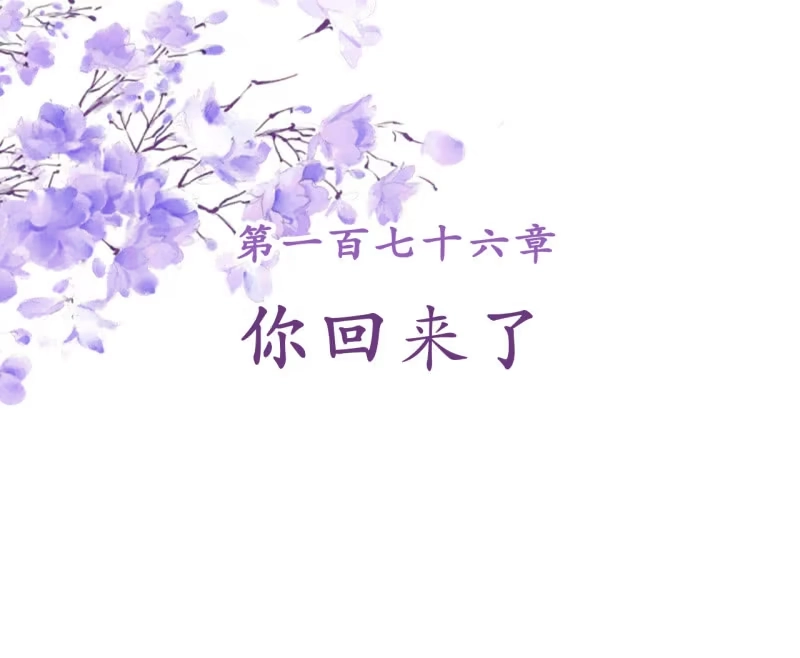 《王的宠妃》第176话 你回来了 第2页