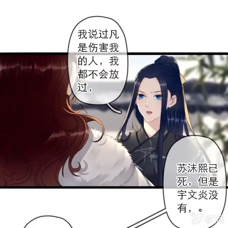 《王的宠妃》第178话 我要杀了他！ 第33页