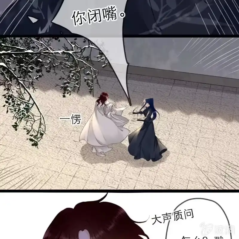 《王的宠妃》第178话 我要杀了他！ 第37页