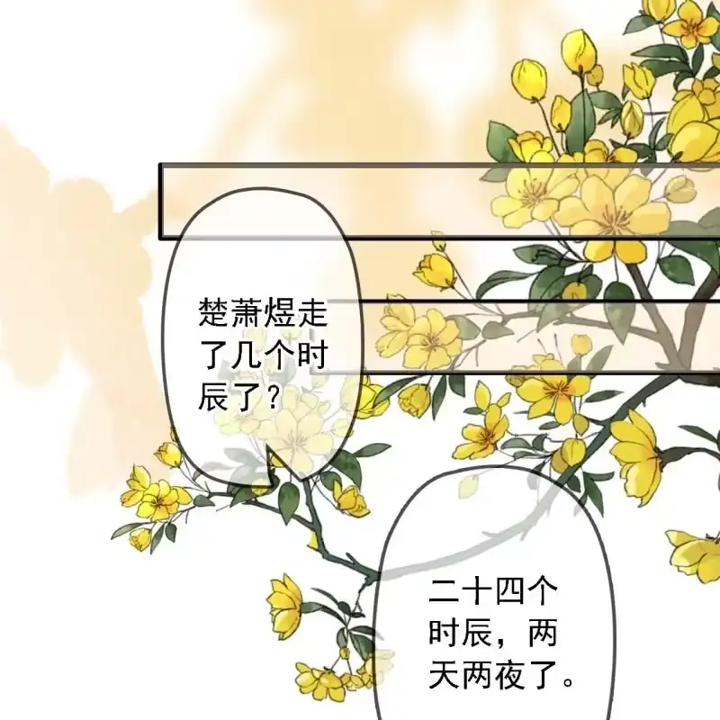 《王的宠妃》第184话 姐妹相见 第19页